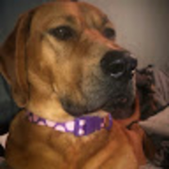 Meet your Posher, Angela - Picture 1 of 1